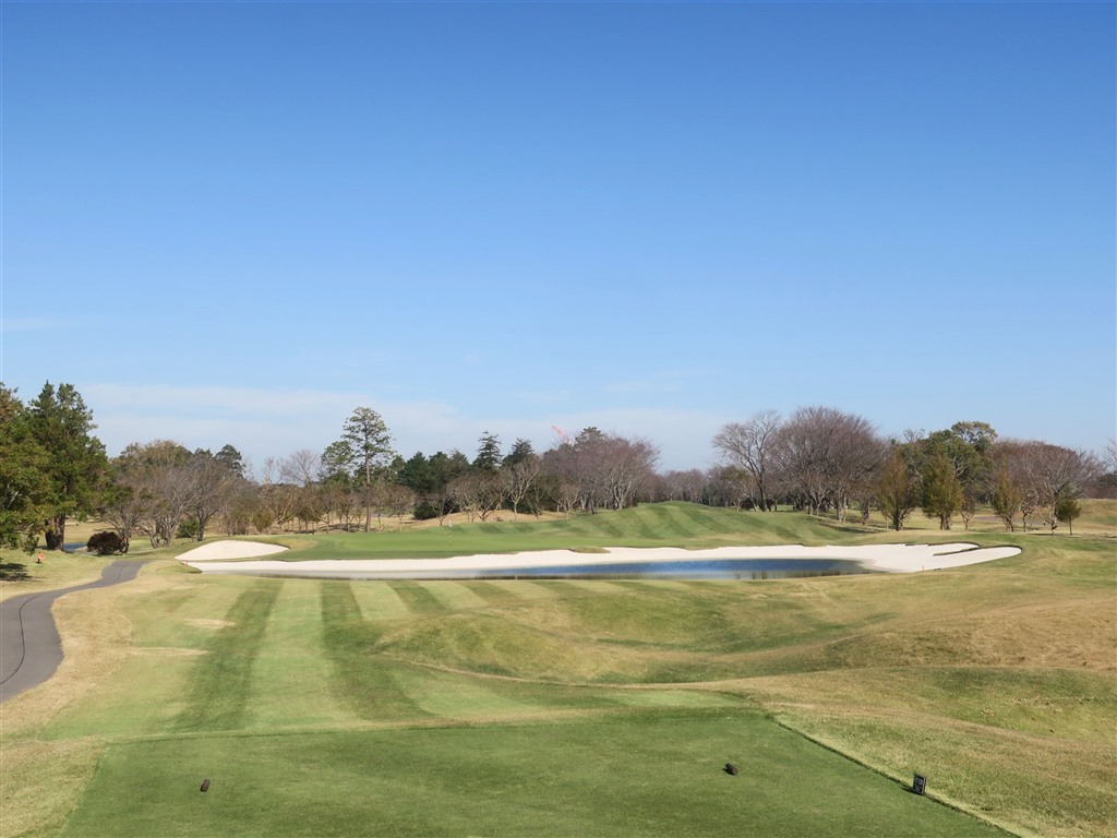 The Royal Golf Club